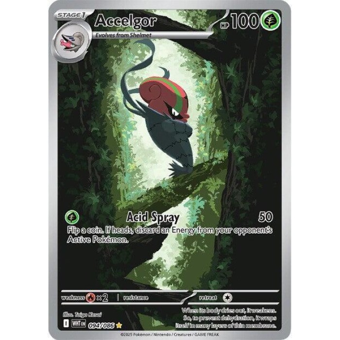 094/086 - Accelgor - Illustration Rare ⭐ - SV: White Flare (WHT)